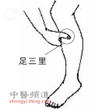 足三里为长寿穴有6大神效 年过三十应常灸